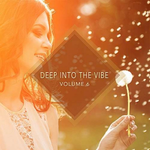 VA - Deep into the Vibe Vol.6