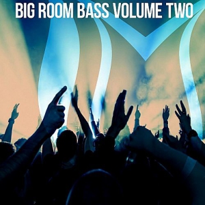 VA - Big Room Bass Vol.2