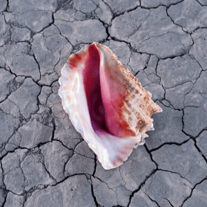 The Killers - Wonderful Wonderful [Deluxe Edition]