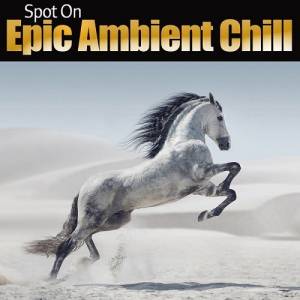 VA - Spot On Epic Ambient Chill