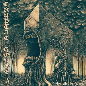  VA - Cryptic House 9 (Compiled by ZeByte)