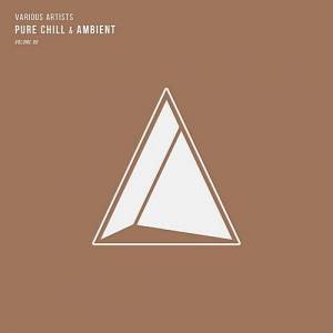  VA - Pure Chill & Ambient Vol.06