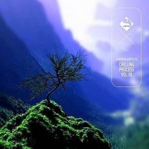 VA - Chilling Process Vol.08