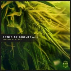 VA - Sonic Trichomes Vol.2 (Compiled by DJ Kush)