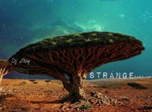 DJ Zloy - Strange part.14: Podcast Mix 