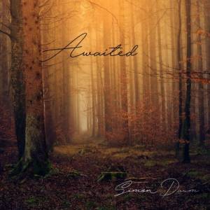 Simon Daum - Awaited