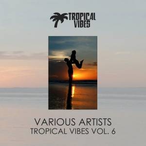 VA - Tropical Vibes vol. 6