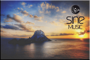 Sine Music Records presents: Compilations Collection