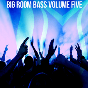 VA - Big Room Bass Vol.5