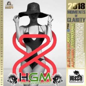 VA - Moments Of Clarity: Essentials Electro House 