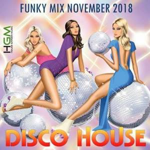 VA - Disco House: Funky Mix November