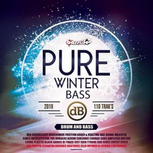 VA - Pure Winter Bass