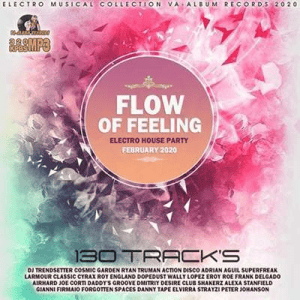 VA - Flow Of Feeling: Electro House Party