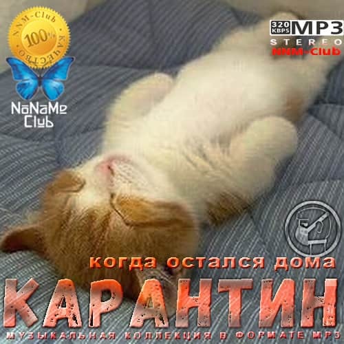 Домой mp3