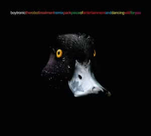 Boytronic - The Robot Treatment Remix Pack Piece Of Entertainment and Dancing Wild for You