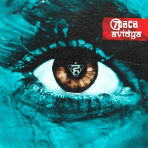  7 - Avidya