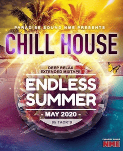 VA - Endless Summer: Chill House Electro Mix