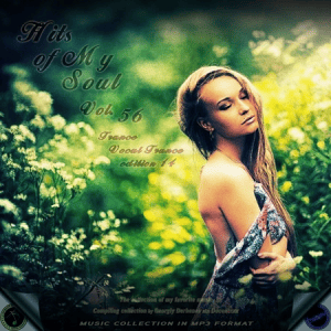 VA - Hits of My Soul Vol. 56