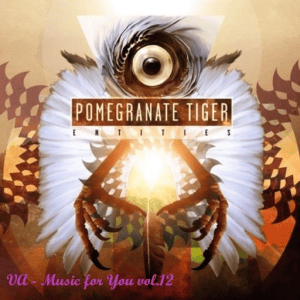  VA - Music for You vol.12