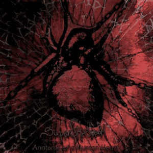 Superior Stream - Anatomy Of A Human Heart Pt.1&2