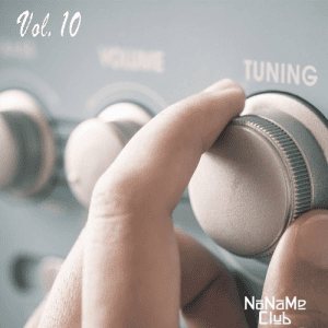 VA -     FM Vol.10