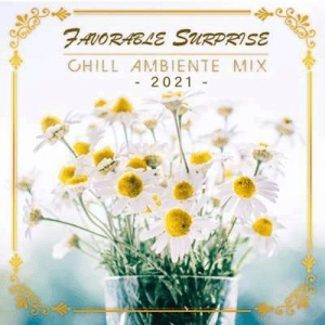 VA - Favorable Surprise: Chill Ambiente Mix 