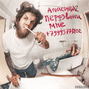 Anacondaz -   +79995771202