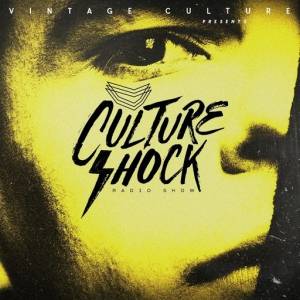 Vintage Culture - Culture Shock 001-049