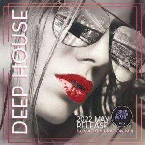 VA - Deep House Somatic Mix
