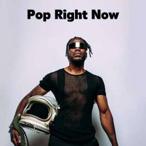 VA - Pop Right Now