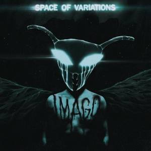 Space Of Variations - Imago