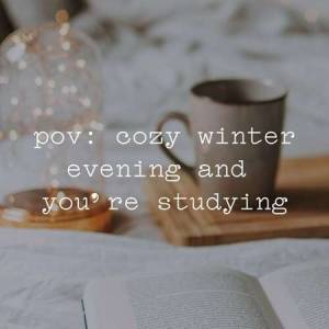 VA - pov: cozy winter evening and youre studying