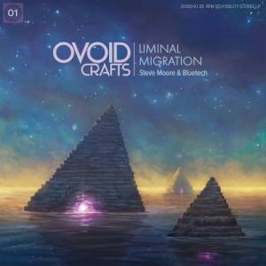 Steve Moore & Bluetech - Liminal Migration