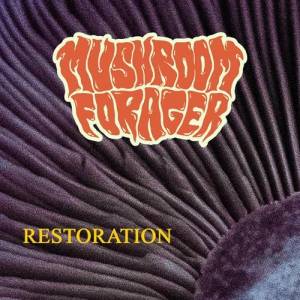 Mushroom Forager - Restoration