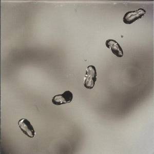 Peter Gabriel - Up