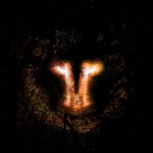 Polula - Where Do We Go From Here