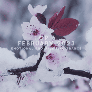 VA - Top 6 February 2023 