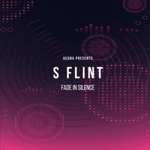 S Flint - Fade In Silence