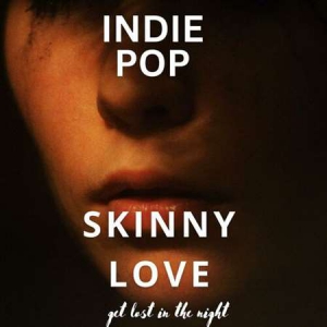 VA - Skinny Love - Indie Pop - get lost in the night