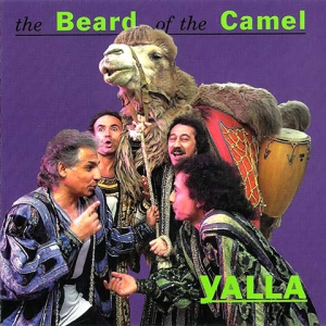    (Yalla) - the Beard of the Camel
