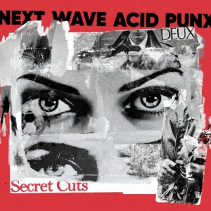  VA - Next Wave Acid Punx DEUX - Secret Cuts