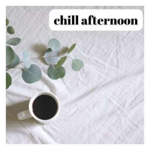  VA - Chill Afternoon