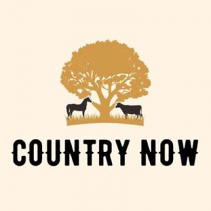  VA - Country Now