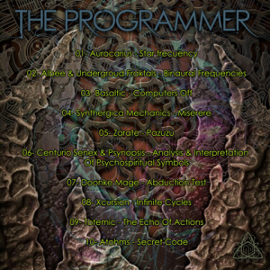  VA - The Programmer