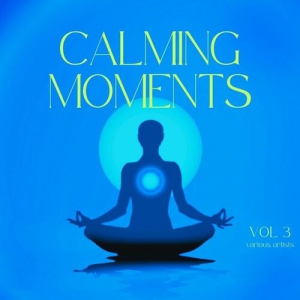  VA - Calming Moments, Vol. 3
