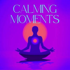  VA - Calming Moments [Vol.1-3]