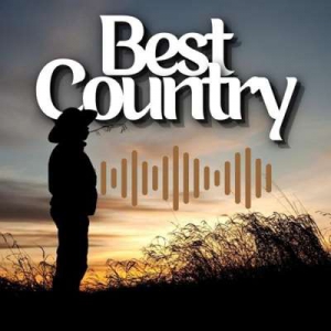 VA - Best Country