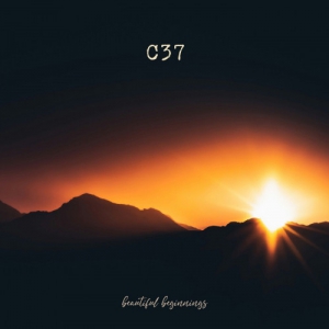  C37 - Beautiful Beginnings