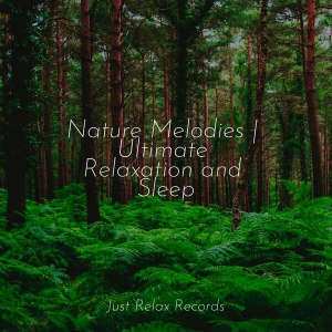  Nature Melodies: Ultimate Relaxation and Sleep