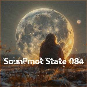  VA - SounEmot State [84]